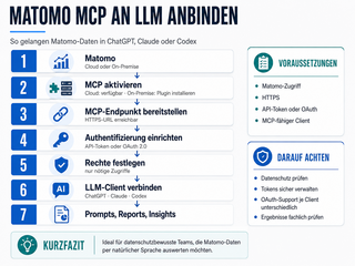webkonzepte matomo to llm xs